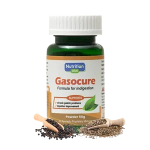Gasocure Churna