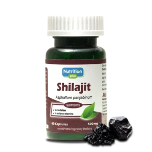 Shilajit Capsules
