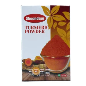 Shaandaar Turmeric Powder